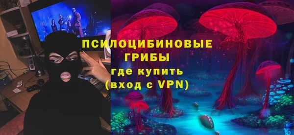 не бодяженный Алексин