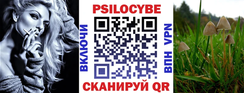 Псилоцибиновые грибы Psilocybe  Обнинск 